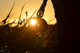 How to improve your travel photography