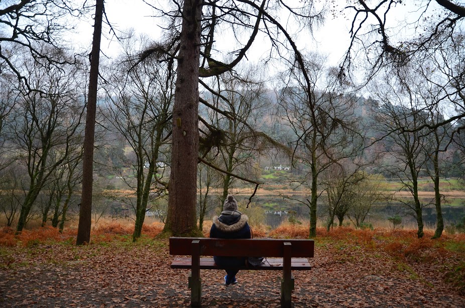 Glendalough Bench