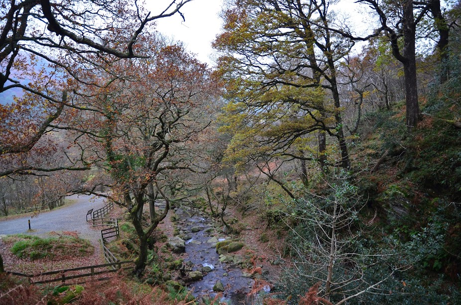 Glendalough Park