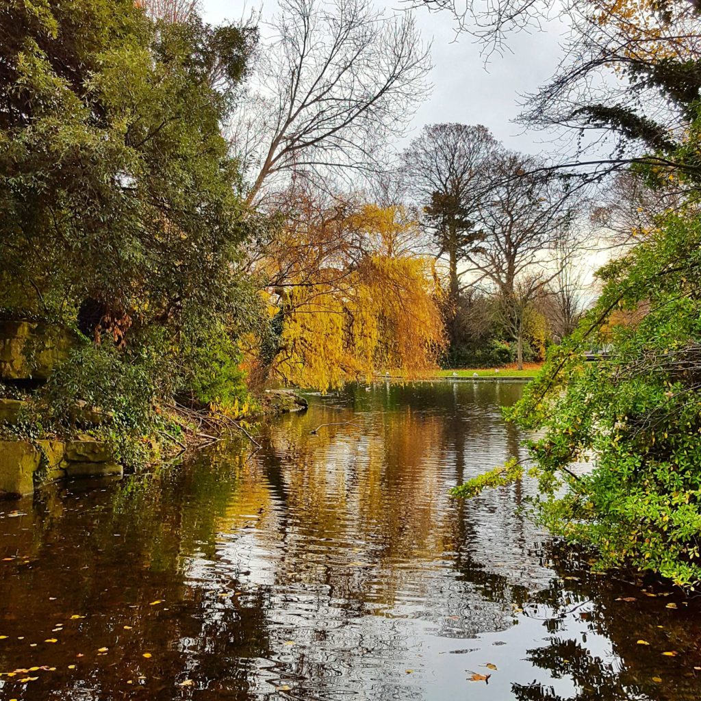 Natur Dublin