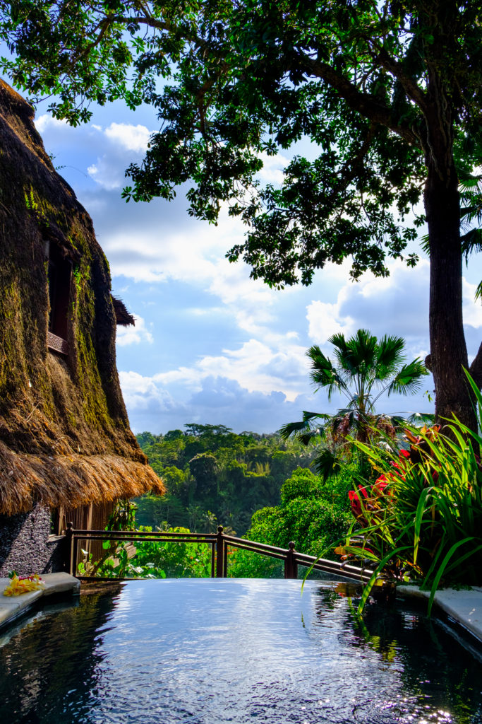 Kupu Kupu Barong Ubud